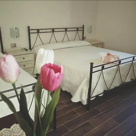 Rosada 帕利努罗