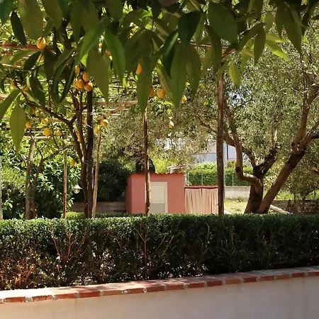 Bed & Breakfast Rosada