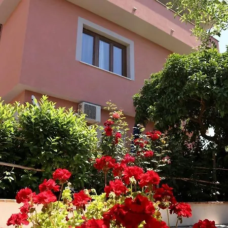 Rosada 3*