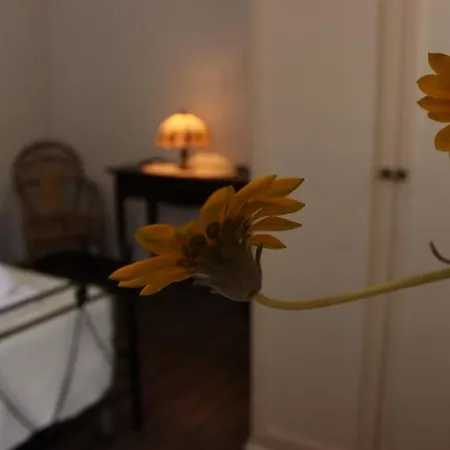 Bed & Breakfast Rosada 3*