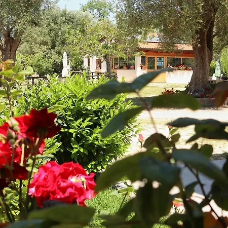 Rosada 3*