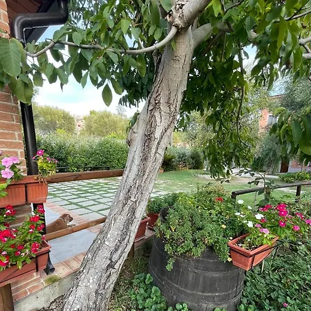 Rosada B&B 팔리누로