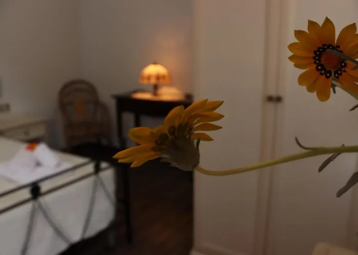 Bed & Breakfast Rosada 3*