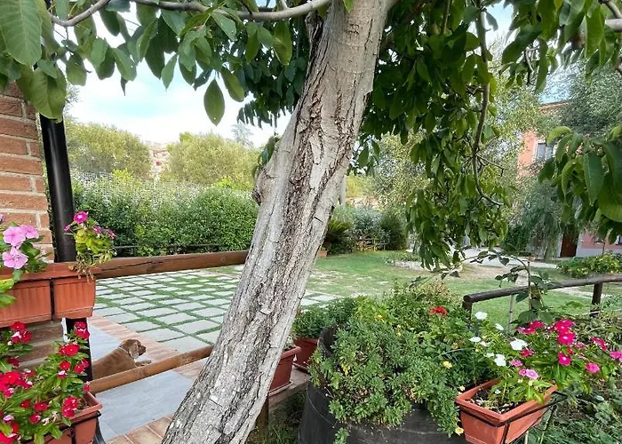 Rosada Bed & Breakfast Palinuro